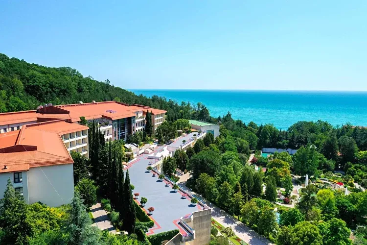 Современные санатории Сочи: лучшие SPA и wellness-курорты с лечением Современные санатории Сочи: лучшие SPA и wellness-курорты с лечением