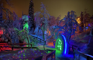Арт-парк Таинственный лес (Mysterious forest) — Россия | Место № 7 Арт-парк Таинственный лес (Mysterious forest) — Россия | Место № 7